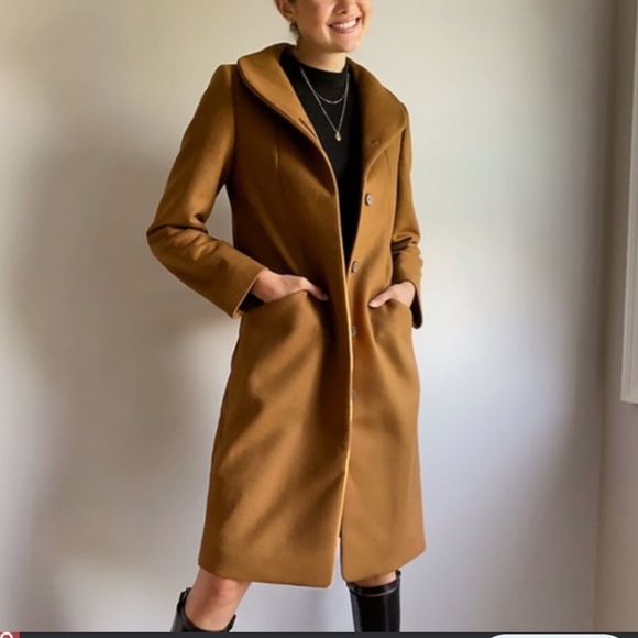 Aritzia Jackets & Blazers - Aritzia Wilfred Cocoon Coat